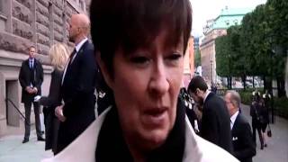 Mona Sahlin om SD protesten Barnsligt [upl. by Yarahs236]