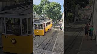 Iconic Trams of Lisbon shorts lisboa portugal lisbon [upl. by Eniahpets907]