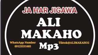 ALI MAKAHO Part 11 JA HAR JIGAWA Official Audio Fullalimakaho21592 [upl. by Kcirddes]