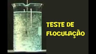 Sedimentação  Teste Floculacao Jar Test [upl. by Max]