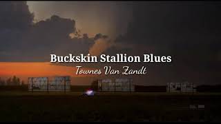 quotBuckskin Stallion Bluesquot  Townes Van Zandt TraduçãoLyrics [upl. by Nachison789]