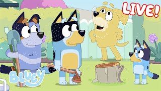 Bluey Season 3 Episode 29 quotPuppetsquot Episode Clip  disneyjr  BlueyOfficialChannel​ [upl. by Encratia]