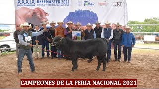 EXPO BEEFMASTER LA NACIONAL 2021 BEEFMASTER SUPREMO EPISODIO 14 [upl. by Meela813]