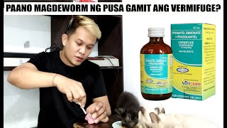 PAANO MAG DEWORM NG PUSA GAMIT ANG VERMIFUGE [upl. by Kifar234]