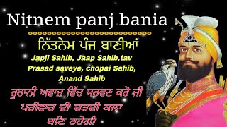 Nitnem Panj Baniaਨਿਤਨੇਮ ਸਾਹਿਬ ਫੁੱਲ ਪਾਠਰੁਹਾਨੀ ਅਵਾਜ਼ ਵਿੱਚ ਸਰਵਣ ਕਰੋ ਜੀਪਰਿਵਾਰ ਦੀ ਚੜਦੀ ਕਲਾ ਬਣਿ ਰਹੇਗੀ [upl. by Areis259]