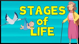 Stages of Life  Vocabulary  Minimal English [upl. by Cherian971]