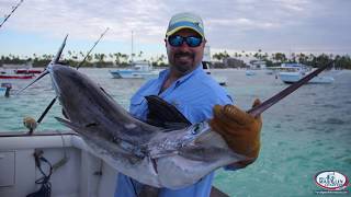 White Marlin season Caught David in Punta Cana April 2018 [upl. by Mccarty434]