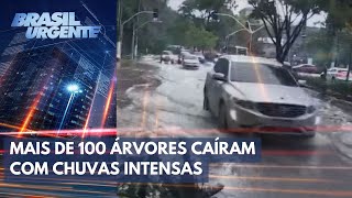 Chuva intensa atinge Grande São Paulo  Brasil Urgente [upl. by Ydnerb548]