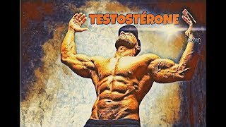 Augmenter sa testostérone le ZINC 30 jours 30 conseils pour booster sa testostérone [upl. by Denae]