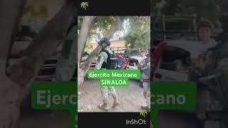 La pura verdad lo que dijo elemento ¿Que opinan raza military ejercitomexicano [upl. by Waxler505]