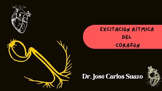 Excitación rítmica y conducción cardiaca [upl. by Dyanne266]