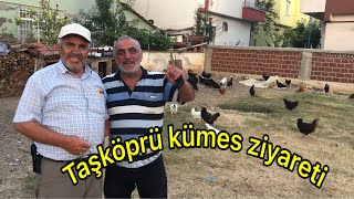 Kastamonu Taşköprü kafes ve kümes ziyareti 07082024 [upl. by Mackler34]