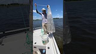 Cast Netting Menhaden [upl. by Ahsenauj564]