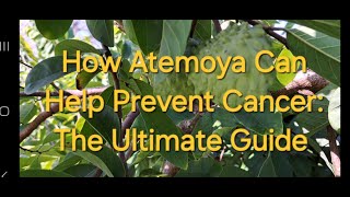 How Atemoya Can Help Prevent Cancer The Ultimate Guide [upl. by Belicia]