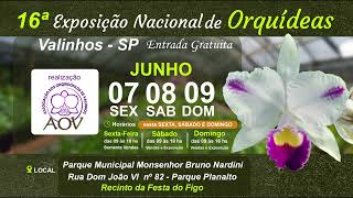 16ª Exposição Nacional de Orquídeas em Valinhos SP [upl. by Nosreme627]