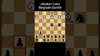 Jebakan Catur Belgrade Gambit [upl. by Sema]