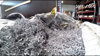 WEIMA ZMK 50 shreds aluminum cuttings [upl. by Coopersmith]