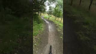 Smooth corners are the best 🙌 mtb enduro cycling bike glentress mtblife gopro jumps berms [upl. by Khalin]