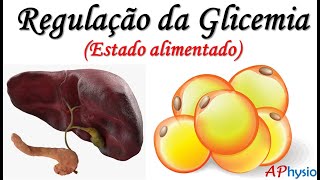 Regulação da Glicemia  Estado pósprandial Alimentado [upl. by Cordy]