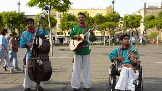 Huichol Traditional Music Viento Huichol [upl. by Eneirda]