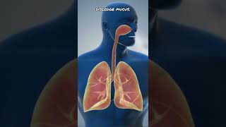 How To Cleanse You Lungs Naturally 🫁 lungs lungshealth healthandfitness [upl. by Aldon999]