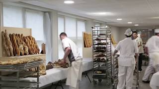 MOF Boulangerie 2018  Epreuve Avignon  Les Moulins dAntoine [upl. by Muriah]