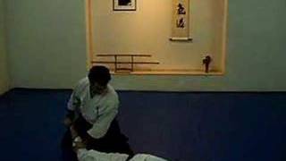 Aikido Camera  AikiCam  5 kyu Shomen Uchi Ikkyo Ura 01 [upl. by Bull]