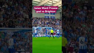 James WardProwse goal vs Brighton [upl. by Broddie]