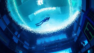 Deep Dive Dubai Inside worlds deepest pool [upl. by Anrahs622]