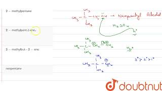 In the reaction given below X is Neopentyl alcohol oversetH2SO4rarrX  12  ALCOHOL [upl. by Poliard]