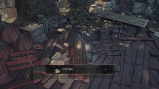 Dark Souls III  Profaned Capital 不死の遺骨、Undead Bone Shard [upl. by Yrrac]