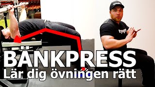 BÄNKPRESS TEKNIK  Så kan ska du göra [upl. by Emirak554]