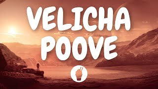 Velicha Poove  Lyric Video   Ethir Neechal  Butter Skotch [upl. by Asilahs105]