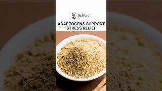 Discover the power of adaptogens in reducing stress 🌿✨ DrBerg HealthyLifestyle Adaptogens [upl. by Oenire]