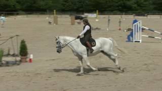 BARON  Franziska Behling  Working Equitation  Juli 2017 [upl. by Hartmunn]