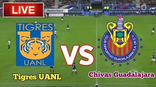 Tigres UANL Vs Chivas Guadalajara Football Score Live Streaming [upl. by Aonehc416]