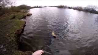 Lure Fishing for Pike UK IMA Komomo 2 90 Sardine GoPro 3 [upl. by Lahcym347]