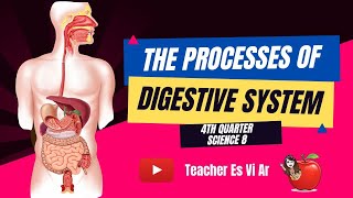 THE PROCESSES OF DIGESTIVE SYSTEM  4TH QUARTER  TEACHER ES VI AR [upl. by Avad]