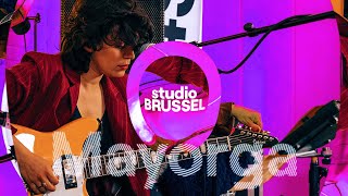 Mayorga — Tussenin Brihang cover  StuBru LIVE LIVE [upl. by Yl]