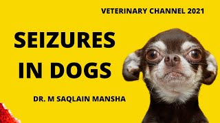 Veterinary Neurology The Causes Clinical Signs Diagnosis And Treatment Of Seizures In Dogs [upl. by Okoy]