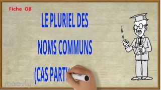 O8  Le pluriel des noms cas particuliers [upl. by Bywaters]