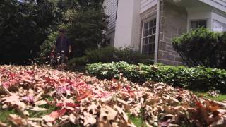 TroyBilt® Jet™  Gas Leaf Blower [upl. by Shepperd]