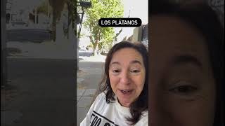 🕵️BOCHI investiga Cuántos platanos haybochi curiosidades platano shorts [upl. by Axia791]