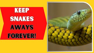 What Can You Put In Your Yard To Keep Snakes Away [upl. by Seamus]