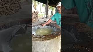 Proses pemasakan tahu susu putih asintasubobanjarnegara [upl. by An]