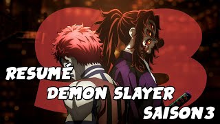 Résumé Demon Slayer Saison 3  Le village des forgerons  Kimetsu no Yaiba [upl. by Coulombe476]