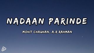 NADAAN PARINDE LYRICS  ROCKSTAR  MOHIT CHAUHAN  AR RAHMAN  PampP MUSIC [upl. by Virgie411]