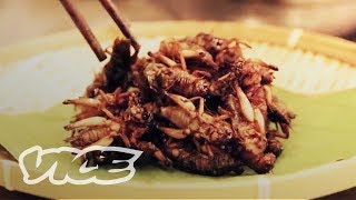 The Big Bug Eating Industry of China Part 1 [upl. by Scrivenor]