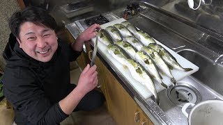 【企業秘密】変な魚おじさん直伝のフグ料理を伝授してもらいました！こりゃー！いい！ [upl. by Aliehc]