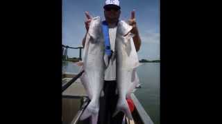 Electrofishing For Kansas Blue Catfish [upl. by Layne]